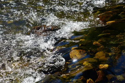 DSC_9907 (Large).JPG